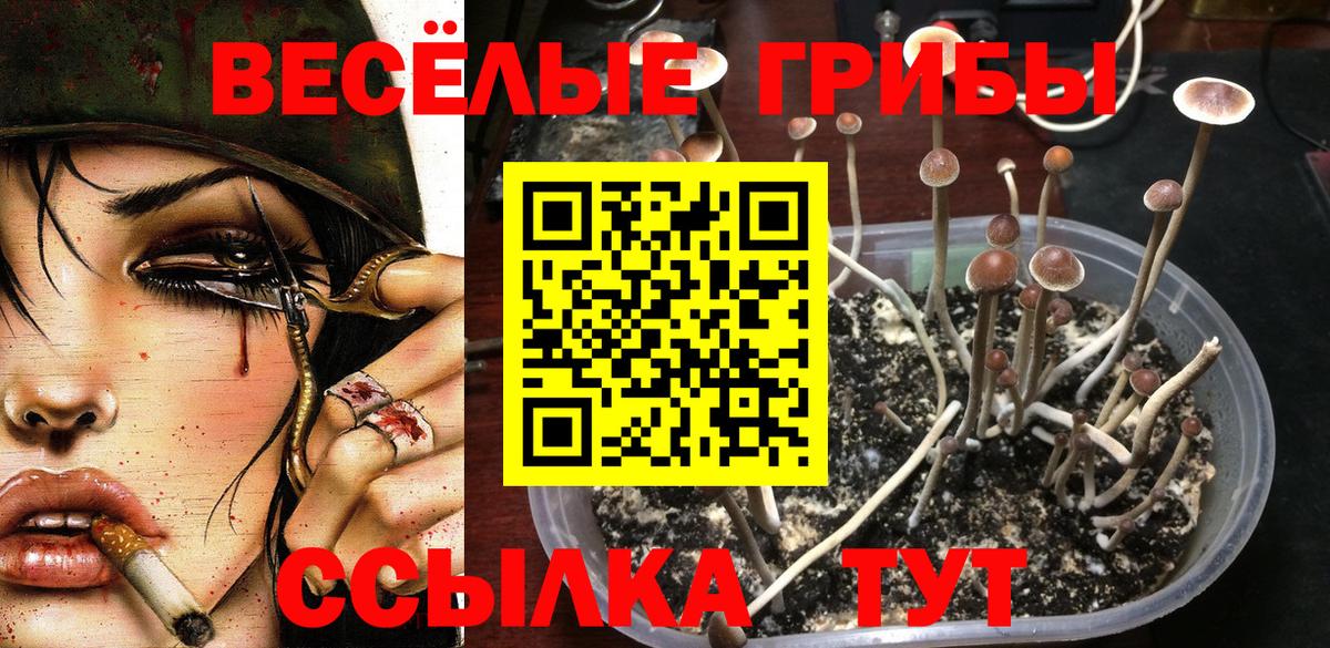 Галлюциногенные грибы мицелий Верхняя Салда